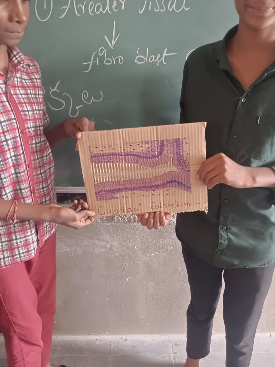 Teaching Session Image 5